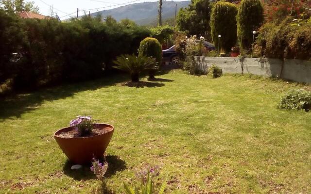 Dimitris House