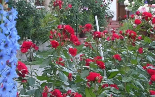 Hotel Weingut Rosenhof