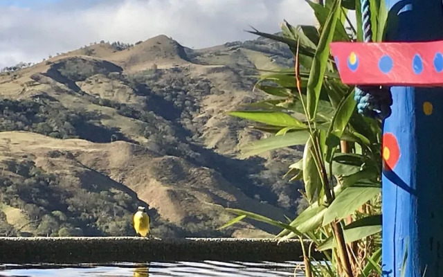 El Sol