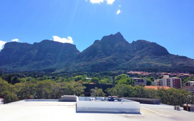 The Rondebosch 517
