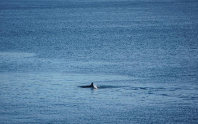 Palms & Beach Maslenica