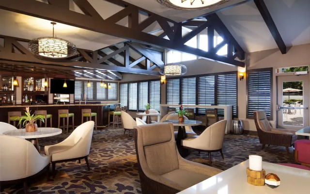 Hilton Tampa Airport Westshore