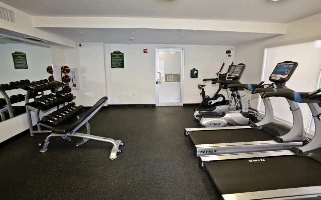 NUOVO Miami Apartments at Coconut Grove