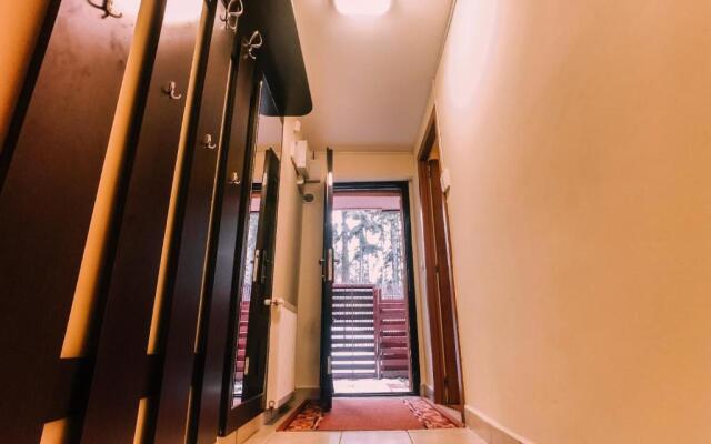 Spacious Apartment near Peles