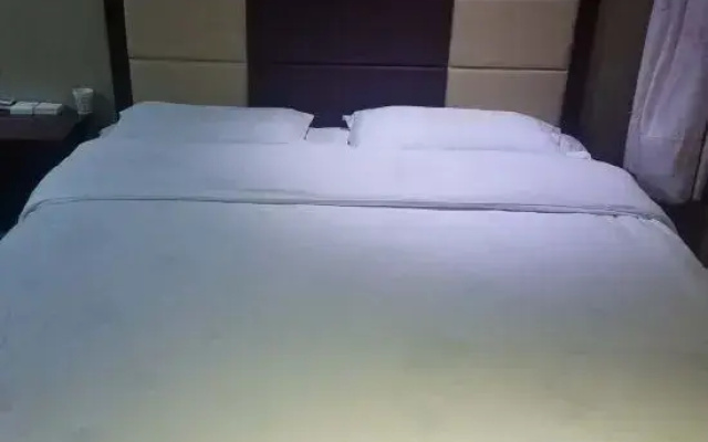 Yanchuan Qinglong Business Hotel