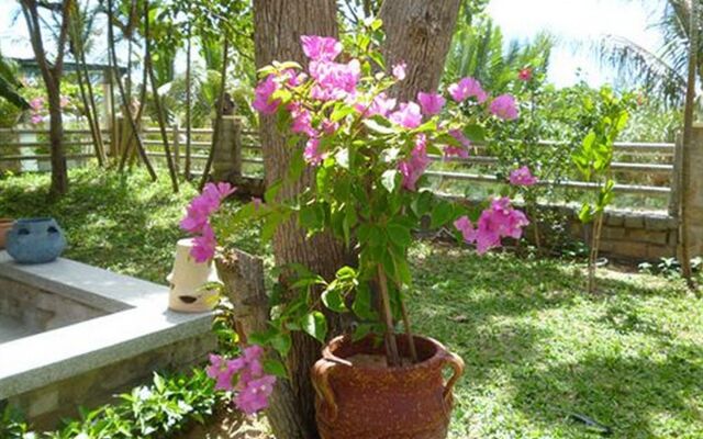 Rock Villa Hoi An