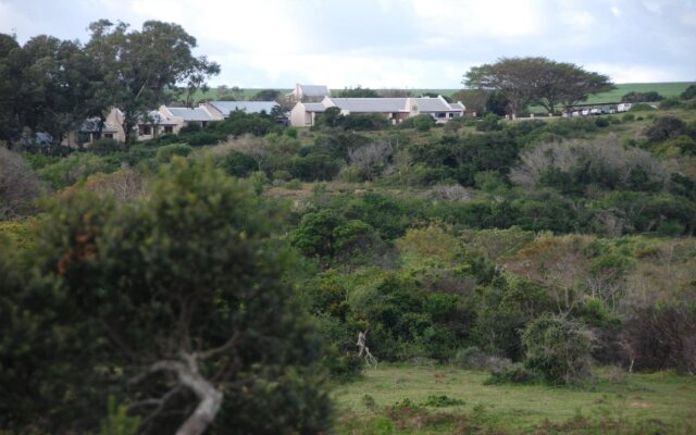 Oyster Bay Lodge