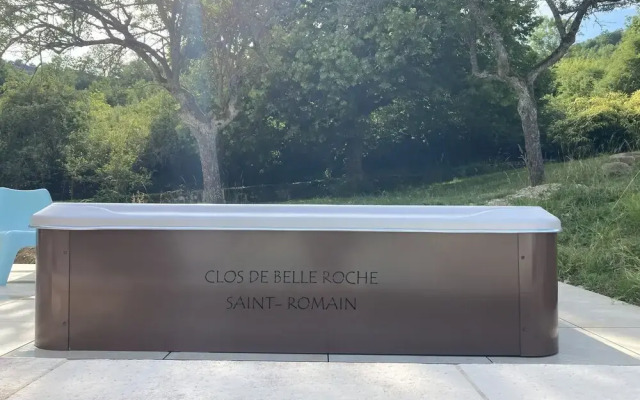 Clos de Belle Roche