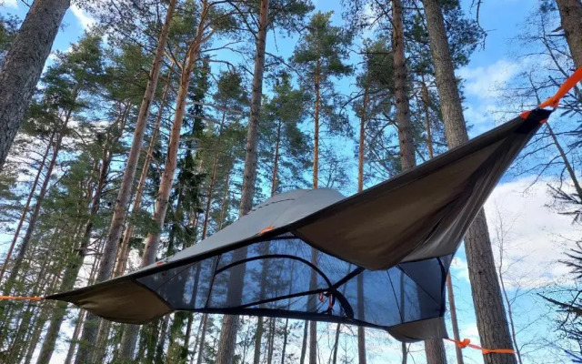 Honkiniemi