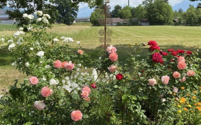 Apartment  Steffisburg