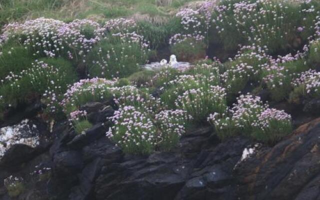 Bridget's View Bed And Breakfast