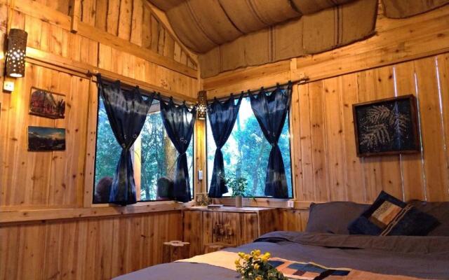 Sapa Jungle Pub  Homestay