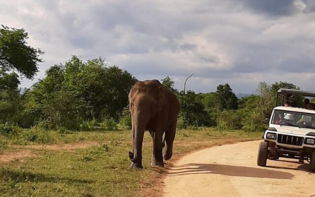 Elephant Lodge