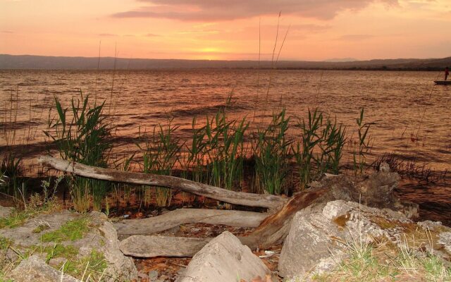 Apartment With one Bedroom in Caprarola, With Balcony and Wifi