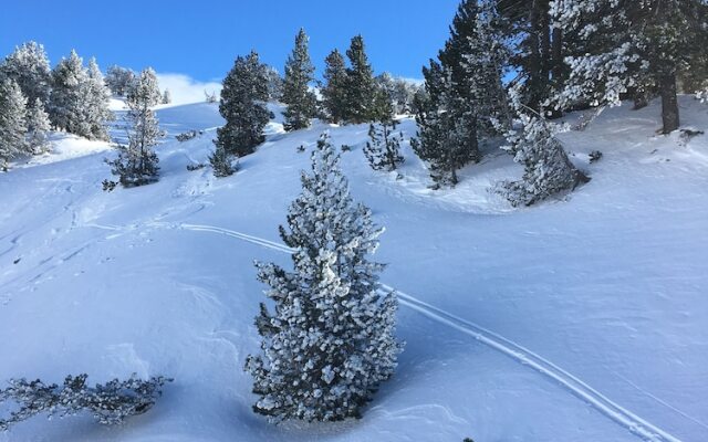 Espacioso Apartamento en el Naut Aran