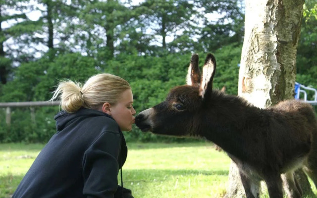 Skallerup Seaside Resort