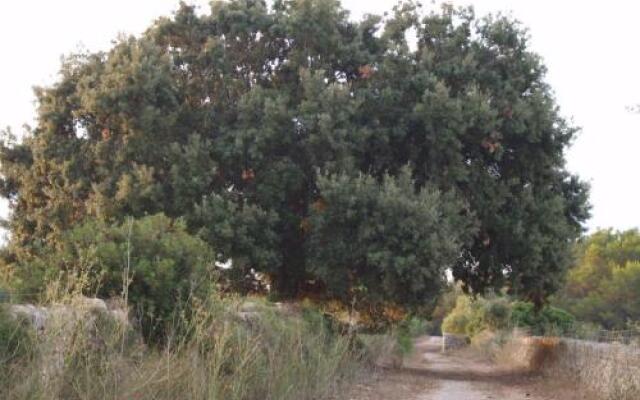 Finca Son Josep de Baix