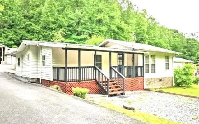 Modern Style Peaceful Tranquility Pet Friendly