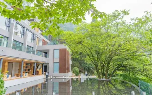 Qingsu Qingcheng private Tang forest