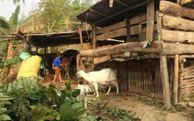 PaliGhar Farmstay