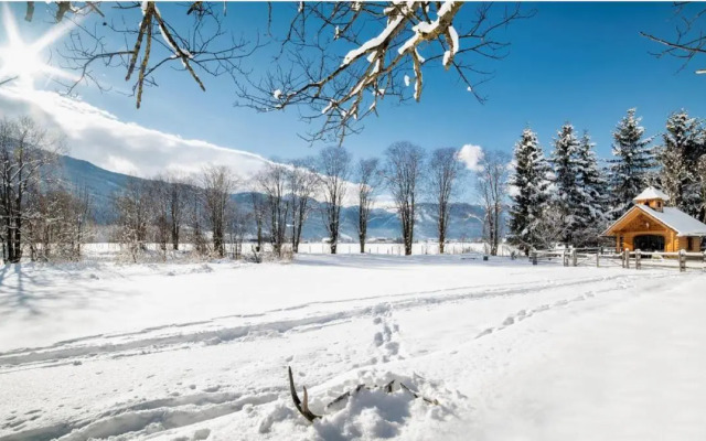 Sonnen-Appartement Heidi