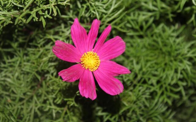 Ons Dorpshuis Beaufort West