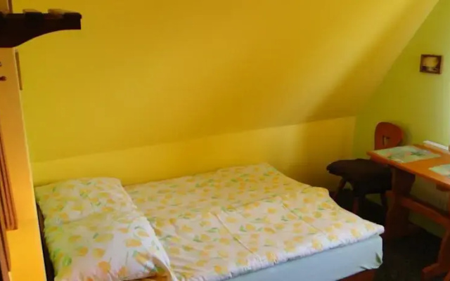 Miś Pokoje Gościnne
