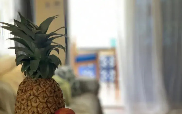 Hideaway Apartments Grenada