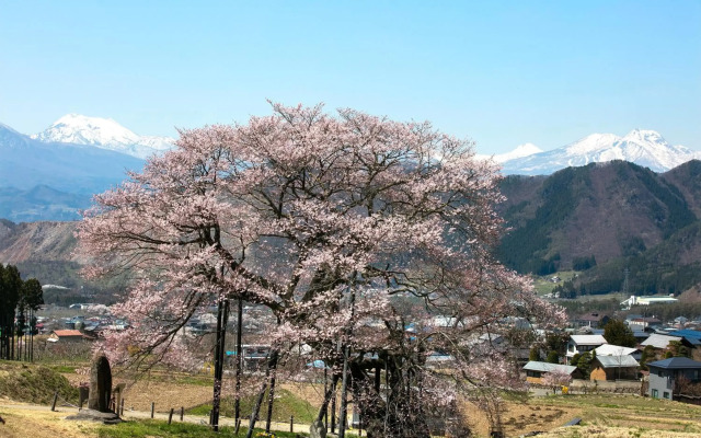 Ryokan Warabino