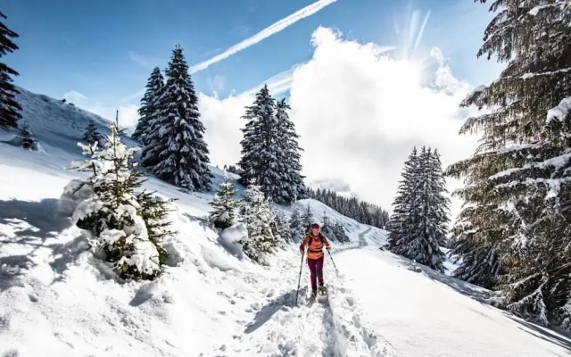 Chalet Ours Brun ORB Mountain & Quiet 6 Pers