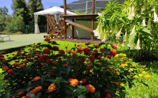 Casa Raiz Ponte de Lima