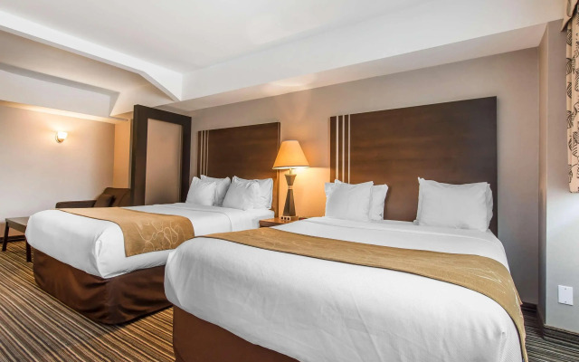 Comfort Suites Downtown