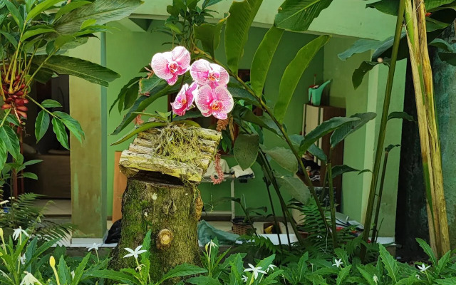 Pousada Alto da Praia