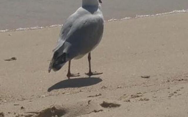 Casablanca Loft L518