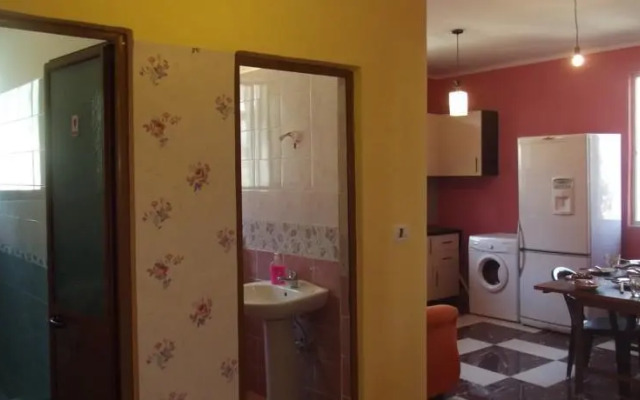 Dolphin Hostel