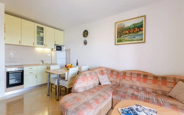 Apartment Nenad