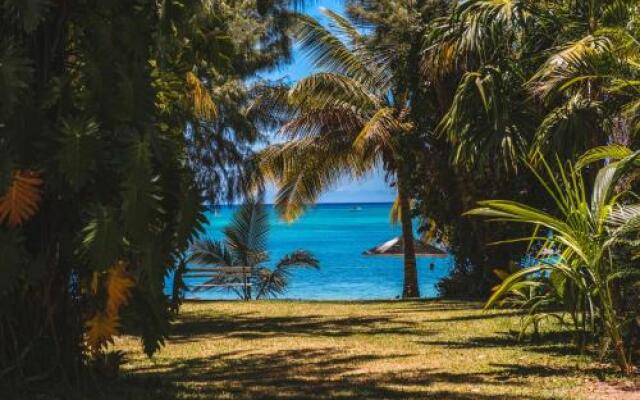 Coconuts