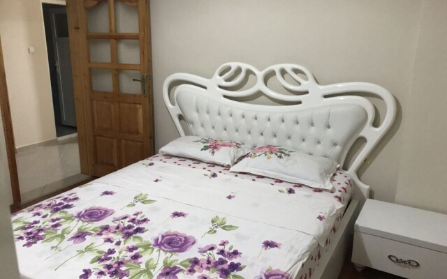 Karabina Green Apart