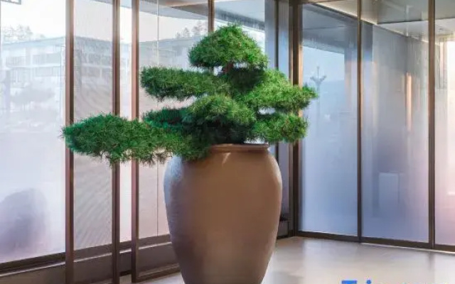 JI HOTEL(Changshan Dongfang Square, Quzhou)