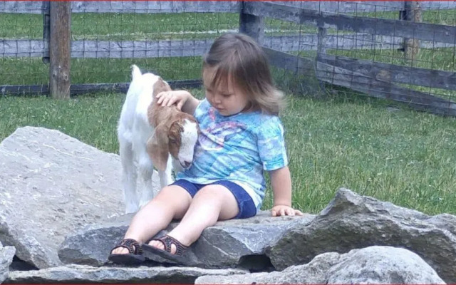 Blue Heron B&B and Retreat Center