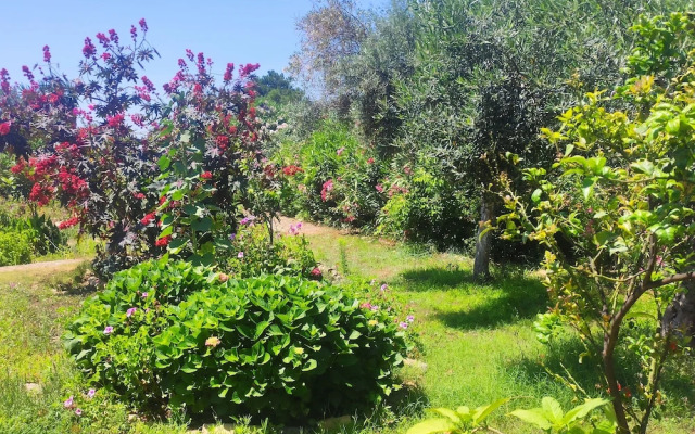 TETRAKTYS estate