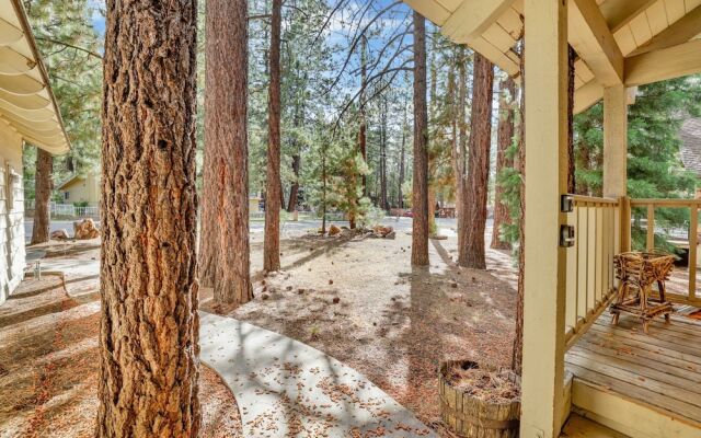 ALL Season Alpine Retreat #1184