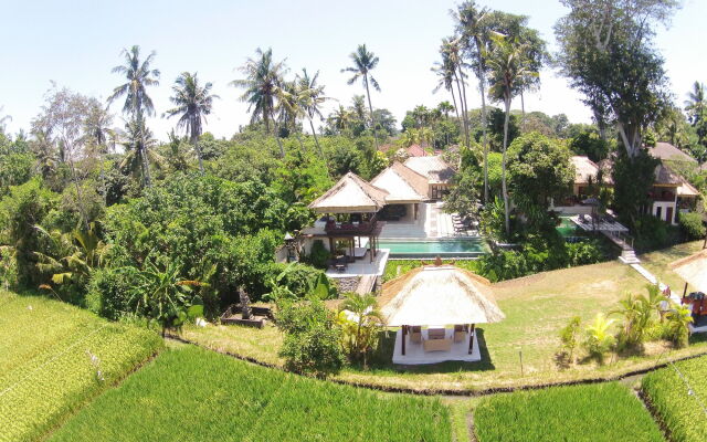 Tamu Seseh