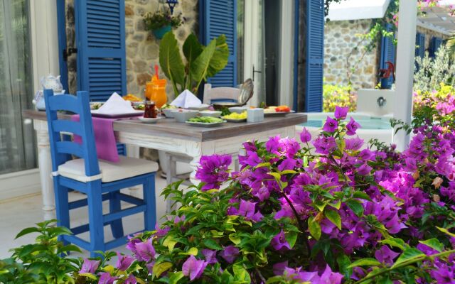 Flamingo Hotel & Spa - Pet Friendly