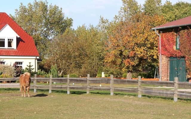 Spacious Apartment in Kuhlungsborn with Terrace