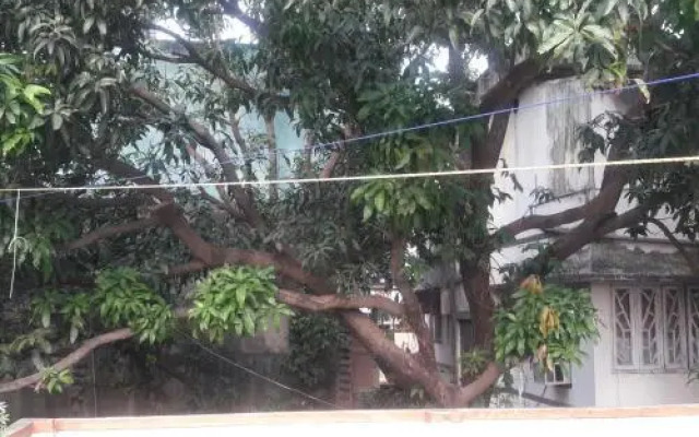 Vagabong Diaries Hostel