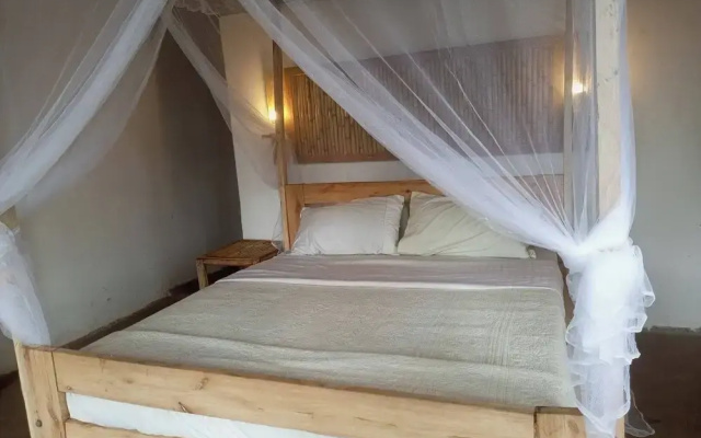 Little Monkey Camp