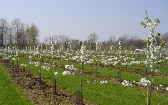 B&B Cherryfarm