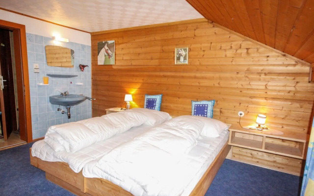 Plattnerhof Oetz in Oetz