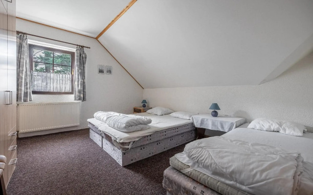 Vakantiehuis Cerny Dul 259